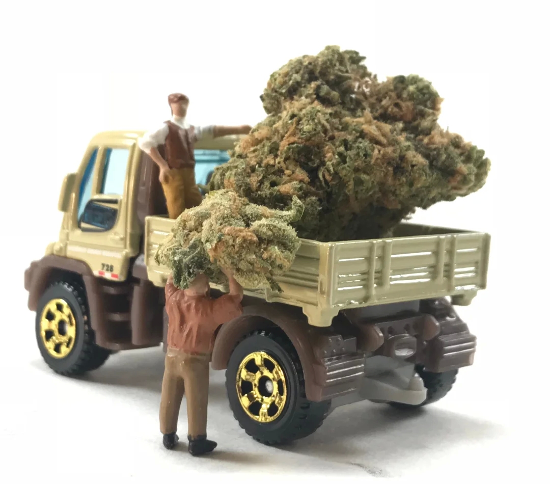 A Guide to Finding The Best Weed Delivery Service For Your Needs