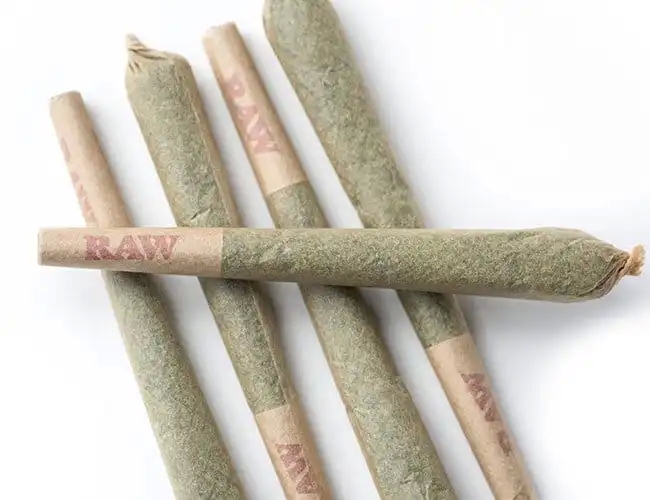 What all are needed to make an exemplary Pre Roll Blunt?