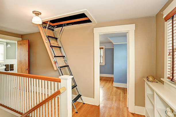 Loft Ladder Pros and Cons: Which is Right for You?
