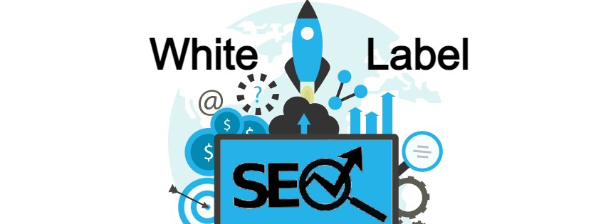 Really Know What You Will Get from White Label Seo Services for Organizations