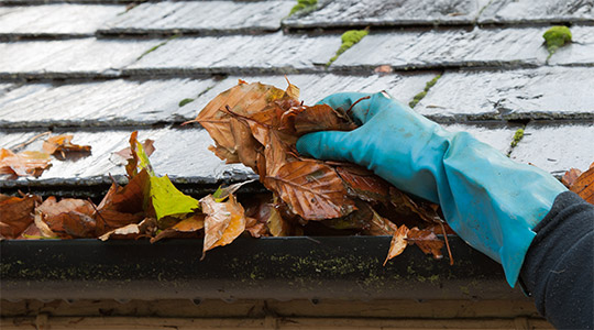 Why energy cleansing your home is crucial