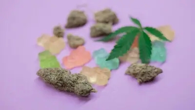 Delicious THC Gummies for Every Occasion