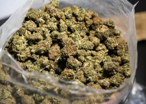 Get Reasonably priced and Dependable Marijuana Shipping and delivery to Brampton