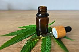 What is the Distinction Between Hemp Get and CBD Oil?