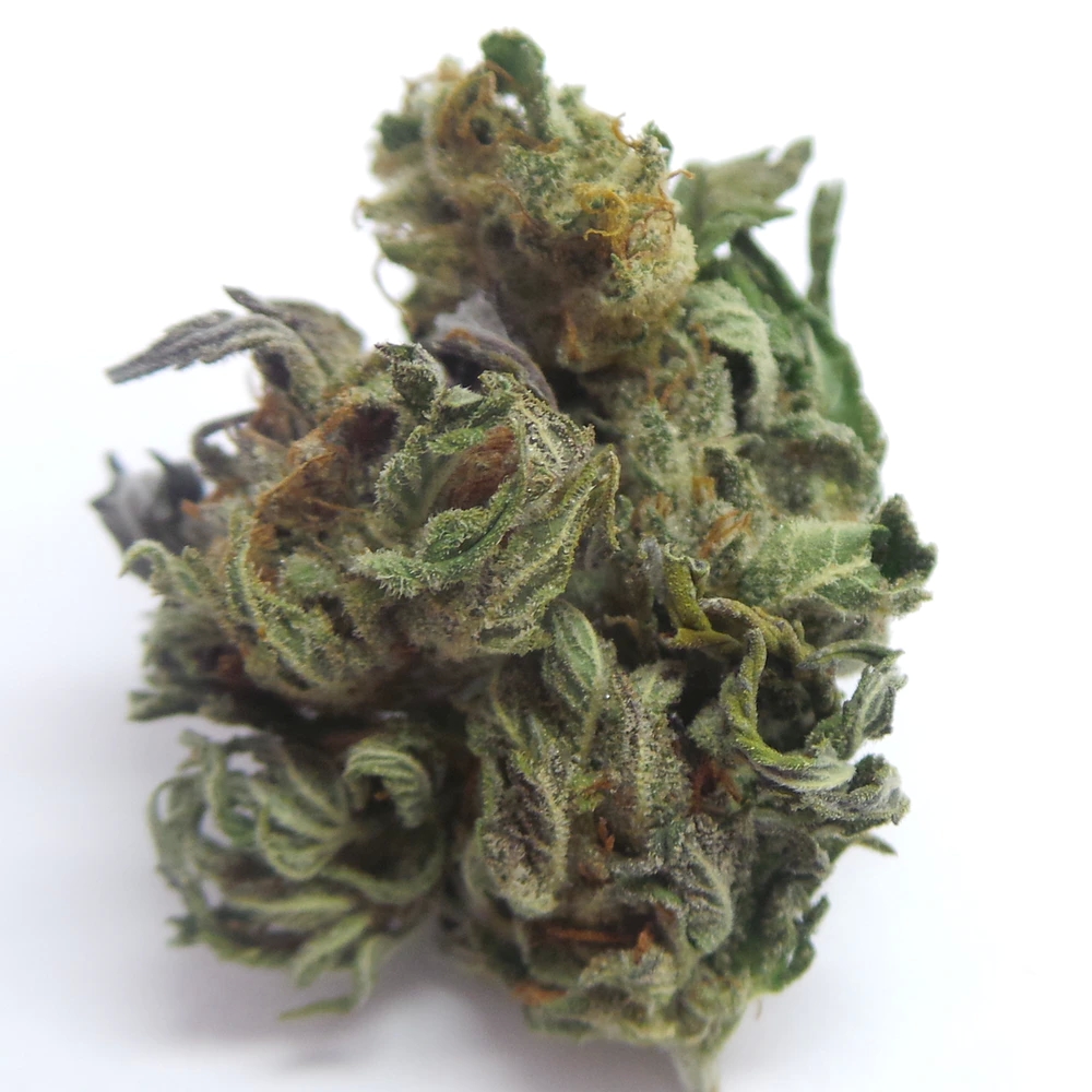 Canadian Plants: Helpful information for Purchasing Marijuana Online in design